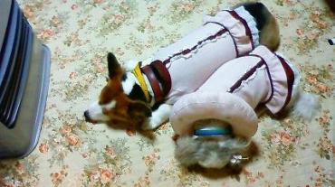 201001020913000