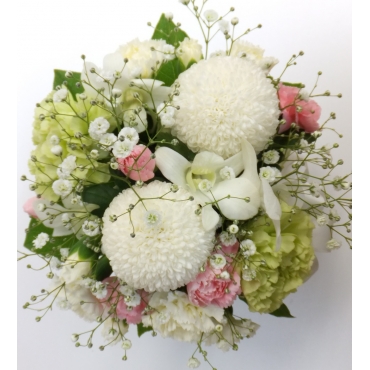 ペットのお供え　愛犬・愛猫