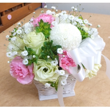 ペットのお供え　愛犬・愛猫